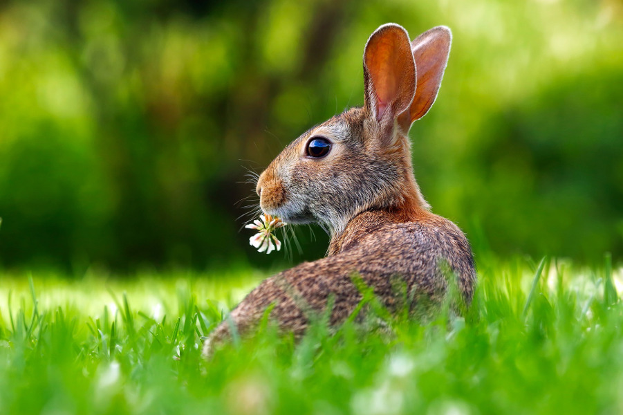 Ostern in Hannover 2019