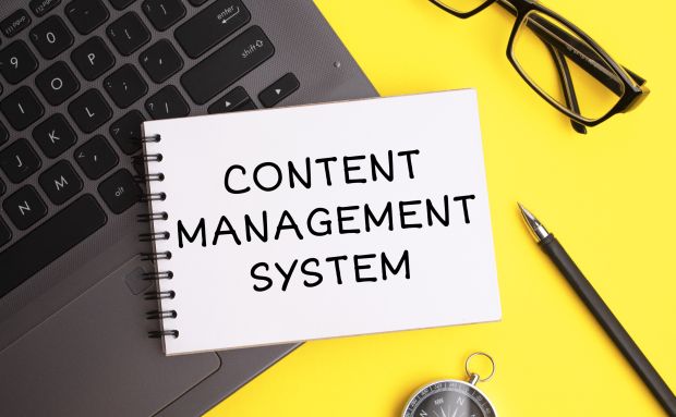 CMS WordPress Website erstellen CMS WordPress Website erstellen